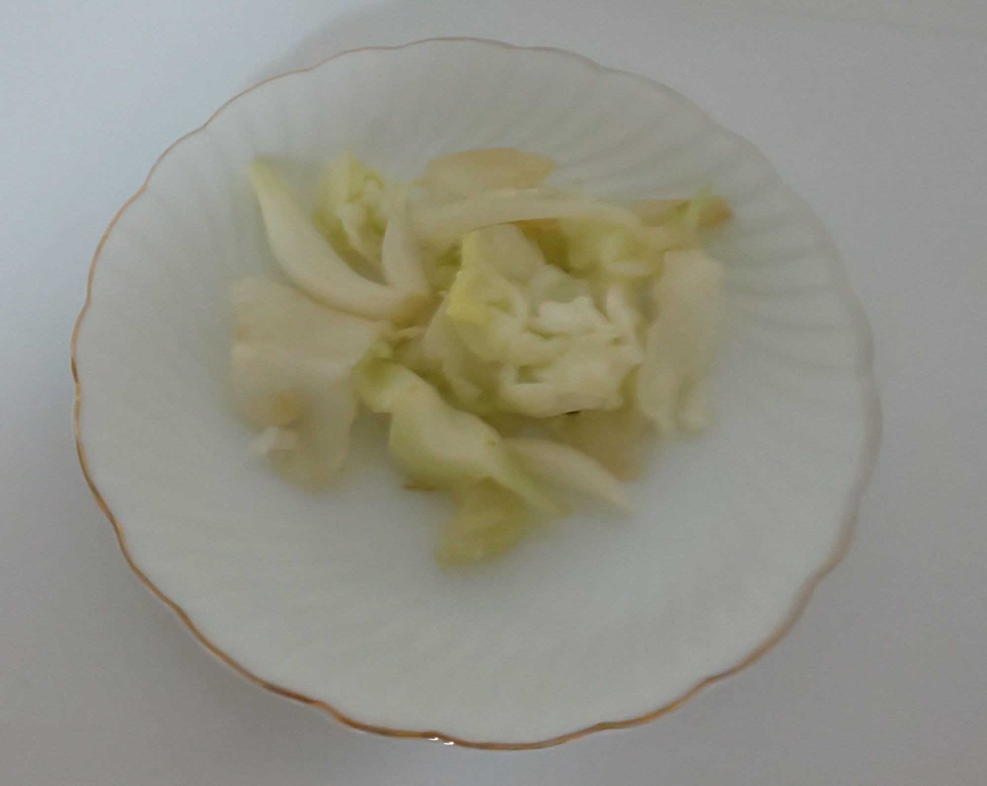 キャベツと玉ねぎ炒め
