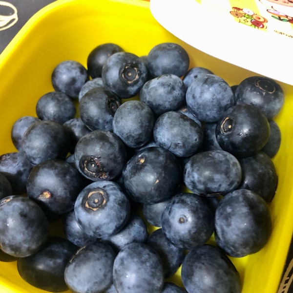 生ブルーベリーの冷凍保存 冷凍庫で60日持ちします レシピ 作り方 By りんりんりん 楽天レシピ 生ブルーベリーの冷凍保存 冷凍庫で60日持ちします レシピ 作り方 By りんりんりん 楽天レシピ