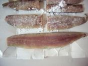 さんまフィレで照り焼き丼ぶり ゆず茶を加えても レシピ 作り方 By ドキンちゃん0298 楽天レシピ