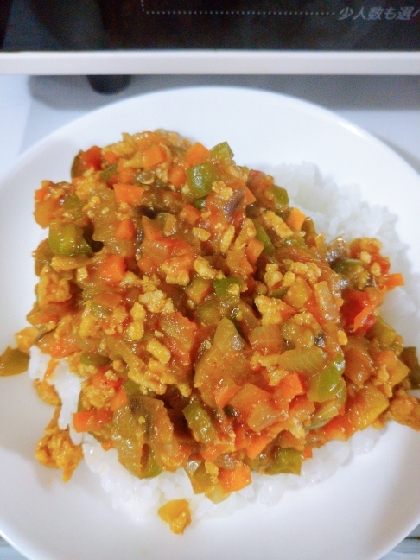 たっぷり食べても大丈夫！超ベジチキンドライカレー