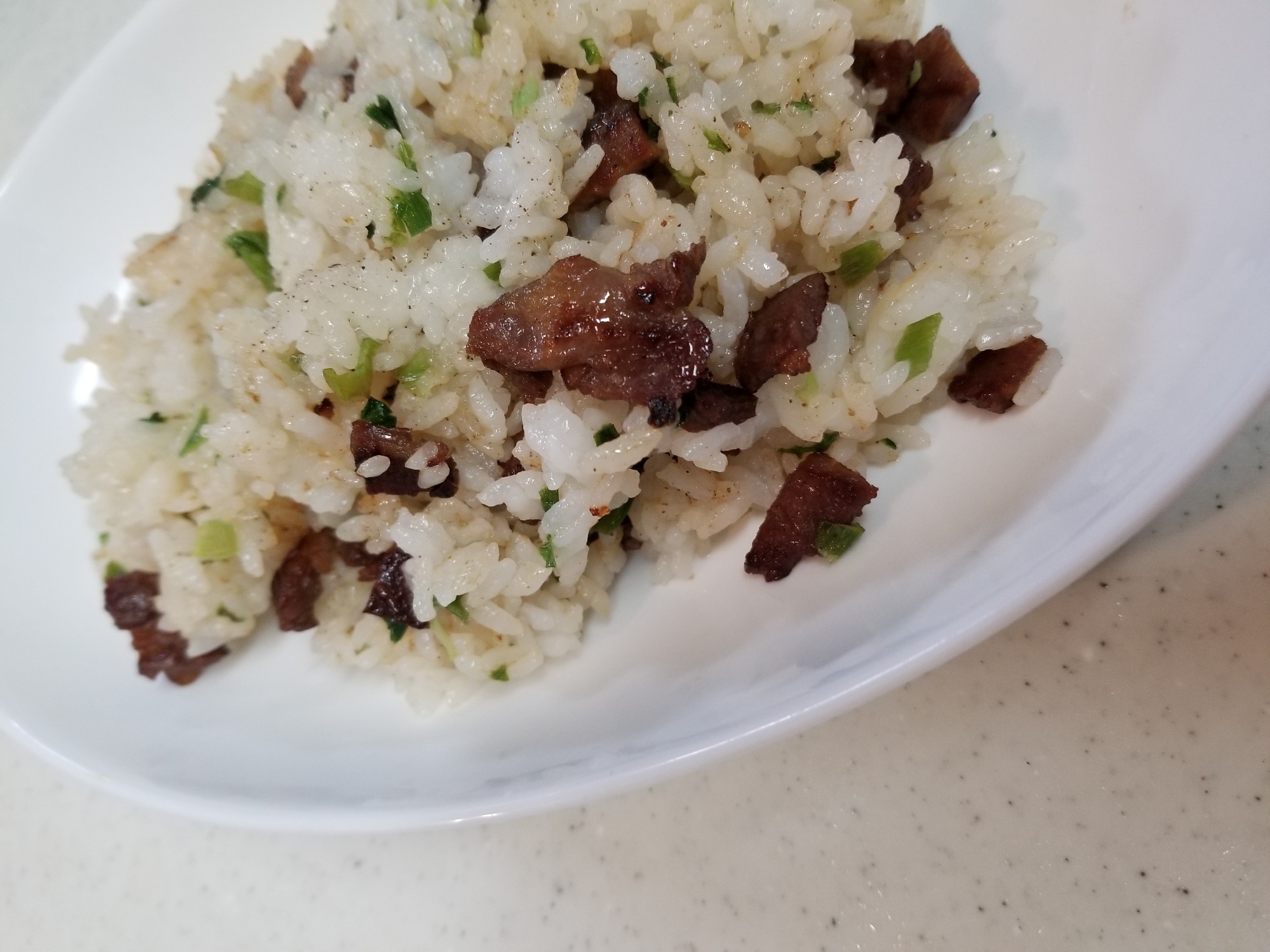 牛タンとネギだけ!牛タン炒飯