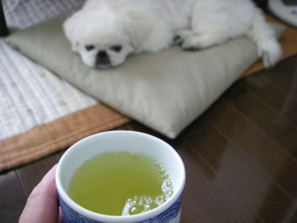 こちらは晩ごはん作る前の一杯♪♪
これ飲んで元気だしたわよ❤
まったり中のみるくちゃんとパチリ＾＾