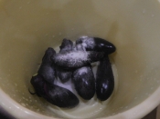 ミョウバンで バッチリ 旦那さんもうなる秋ナス漬け レシピ 作り方 By サクラノカタライ 楽天レシピ