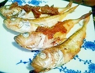 お酒もご飯もすすむ はたはた塩焼き 蕗味噌焼き お酒もご飯もすすむ はたはた塩焼き 蕗味噌焼き