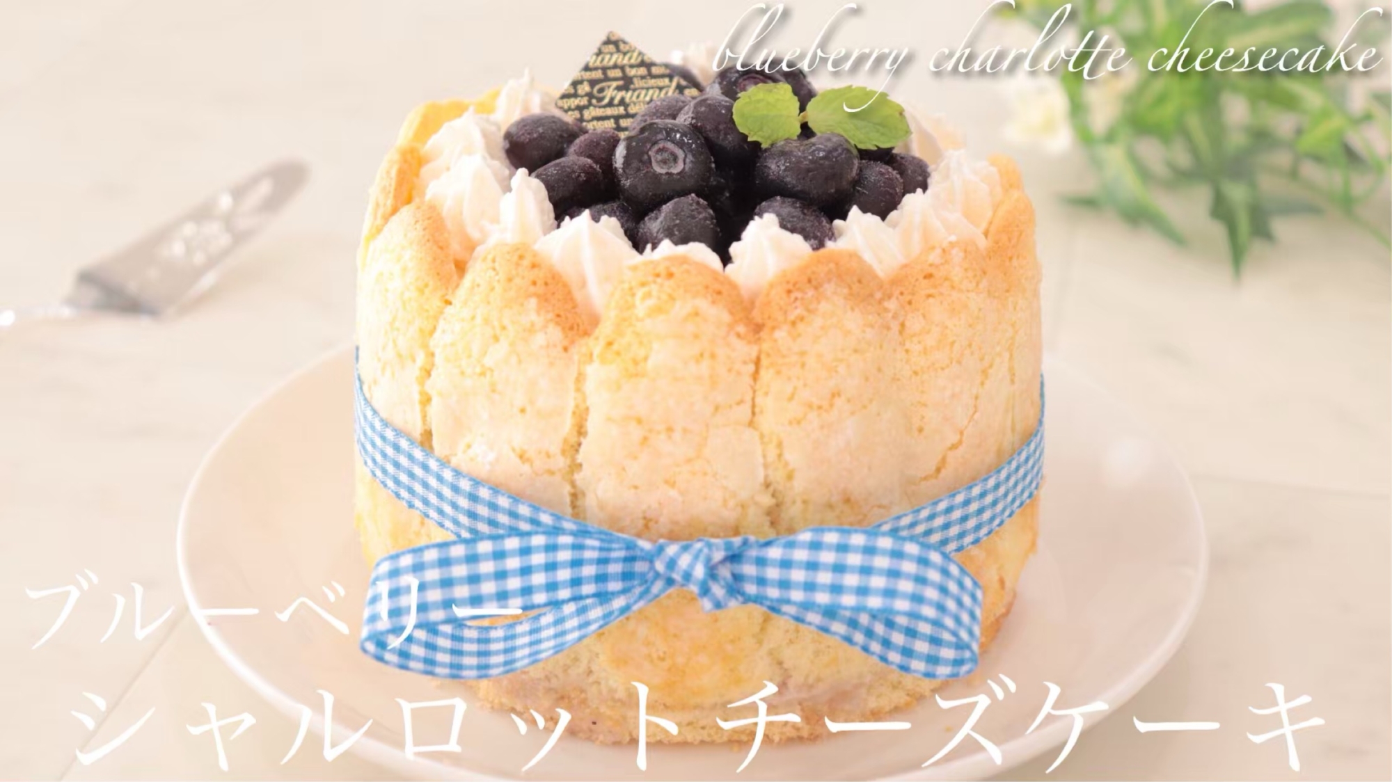 シャルロットブルーベリーチーズケーキ