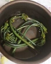 わらびの下処理 レシピ 作り方 By ゆかんち 楽天レシピ わらびの下処理 レシピ 作り方 By ゆかんち 楽天レシピ