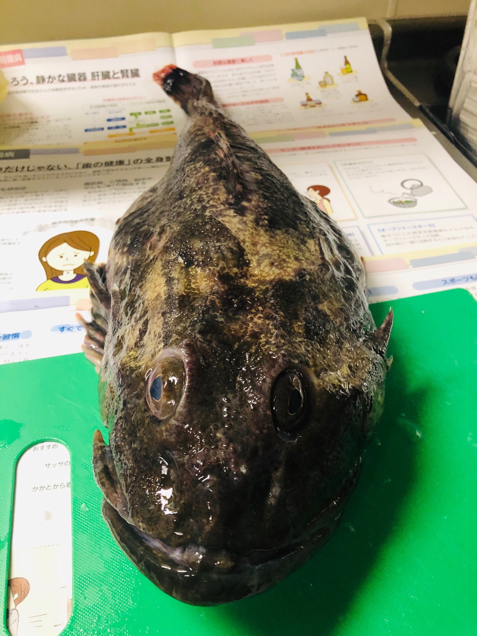 魚の捌き方 カジカ編 鍋にぴったりの北海道の魚 レシピ 作り方 By りゆうの最北投資ブログ運営中 楽天レシピ 魚の捌き方 カジカ編 鍋にぴったりの北海道の魚 レシピ 作り方 By りゆうの最北投資ブログ運営中 楽天レシピ