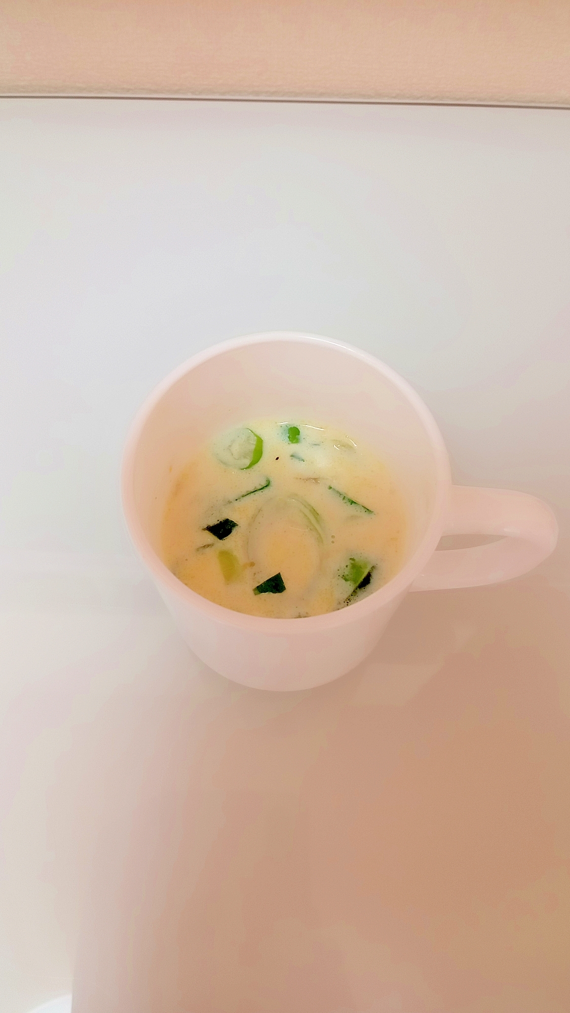 長ネギの豆乳スープ