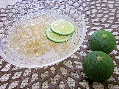 爽快！シュワッすだちサイダー梅酒ゼリー♪