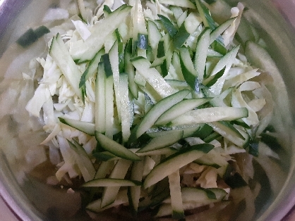 レタスきゅうりブロッコリーのグリーンサラダ