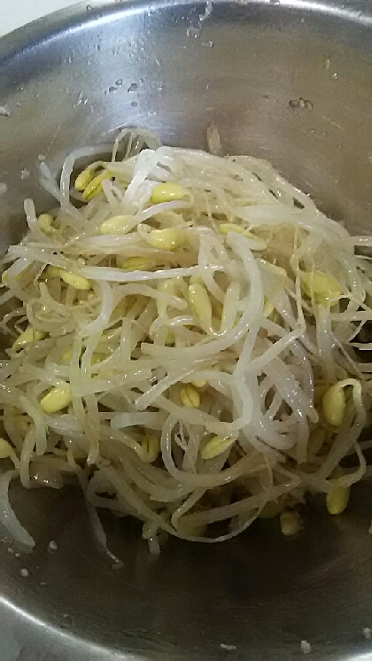豆もやしのナムル