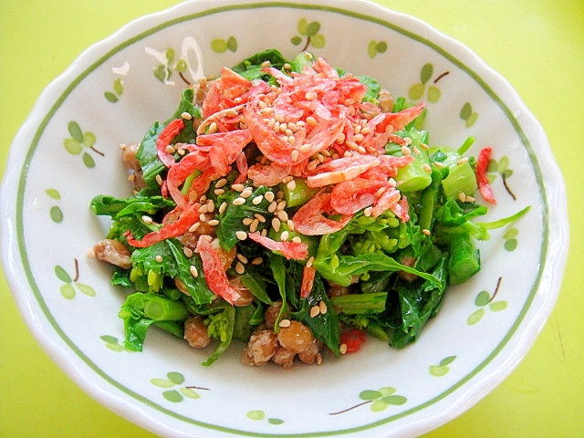 菜の花と桜海老の納豆和え