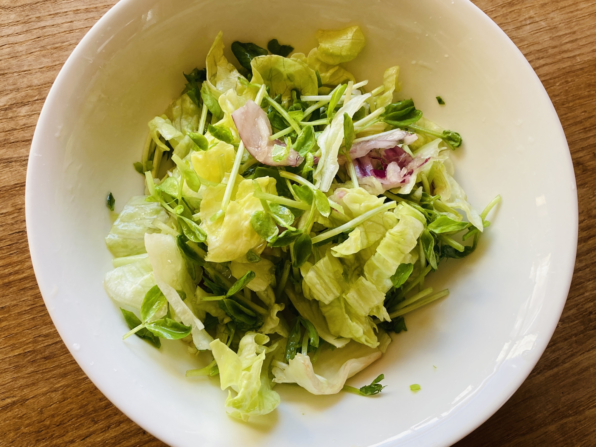 レタスと豆苗のサラダ