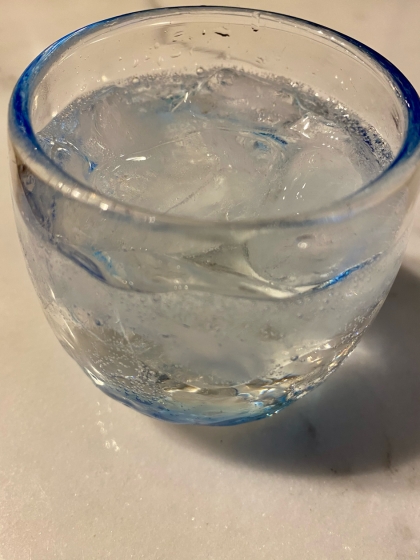 日本酒の炭酸割りは初めて飲んでみましたが、美味しかったです！ごちそうさまでした！