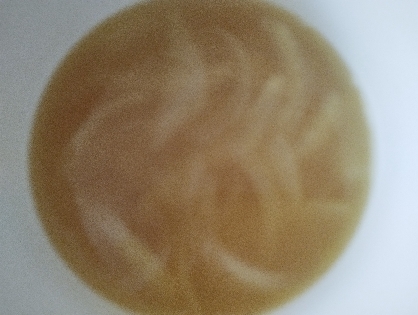 家にある物で簡単にできて美味しかったです。ありがとうございました！