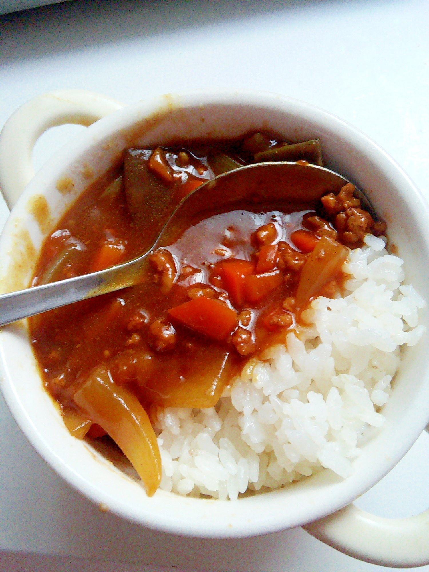 ナスと玉ねぎと合い挽き肉とにんじんのカレー