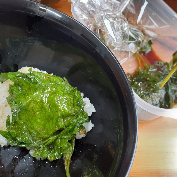 ご飯のお供 大葉のにんにく醤油漬け レシピ 作り方 By アラレぽ 楽天レシピ ご飯のお供 大葉のにんにく醤油漬け レシピ 作り方 By アラレぽ 楽天レシピ