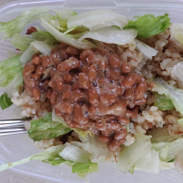 納豆レタスご飯 レシピ 作り方 By だんだんごむし 楽天レシピ 納豆レタスご飯 レシピ 作り方 By だんだんごむし 楽天レシピ