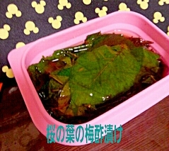 桜の葉梅酢漬け