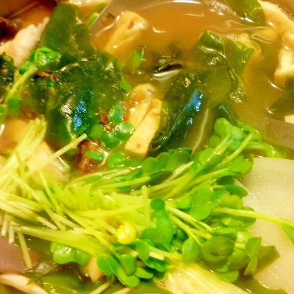 わかめ 刻み揚げ ヒラタケ 貝割れ 大根の味噌汁 レシピ 作り方 By Iihi009 楽天レシピ わかめ 刻み揚げ ヒラタケ 貝割れ 大根の味噌汁 レシピ 作り方 By Iihi009 楽天レシピ