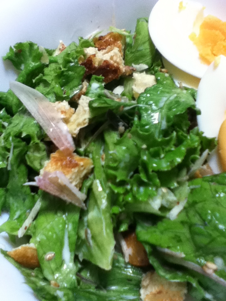 油揚げとミョウガとグリーンカールのコールスロー風 レシピ 作り方 By とりあえず乾杯 楽天レシピ