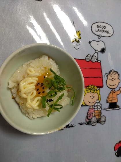 わさびとごまとネギとつゆ（濃縮3倍）マヨ卵かけご飯