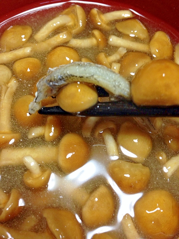 簡単な煮干しダシがうれしいナメコの味噌汁