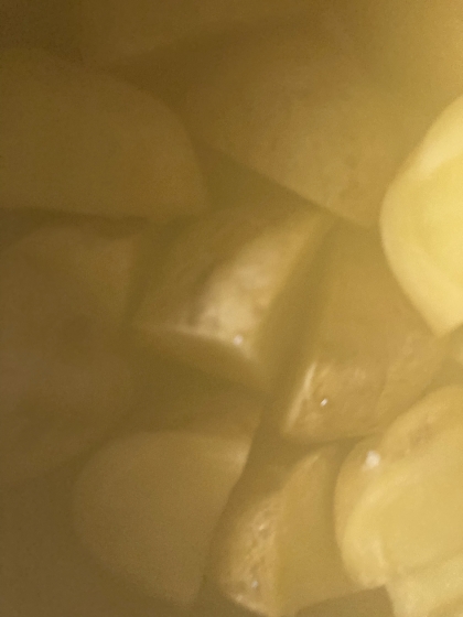 じゃがいもだけの煮物