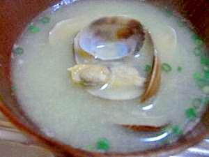 今が旬！アサリの味噌汁
