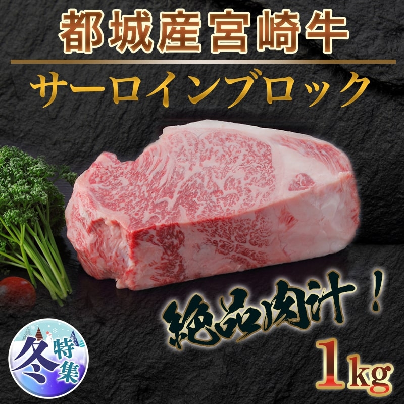 都城産宮崎牛サーロインブロック1kg