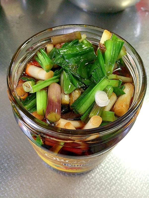 にんにくのしょうゆ漬けレシピ 作り方の人気順 簡単料理の楽天レシピ にんにくのしょうゆ漬けレシピ 作り方の人気順 簡単料理の楽天レシピ