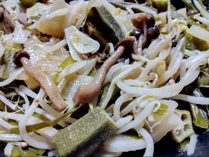 ゴーヤチャンプル風（豆腐無し）炒め˖✧˖°