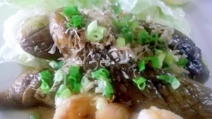 佐土原なすのステーキ