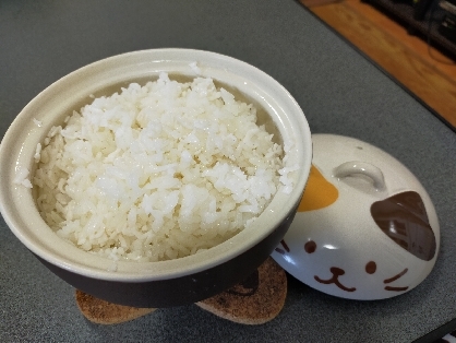 電子レンジで炊ける容器で、しらたき入りご飯を作りました!
しらたきっぽさは全然気にならず、おいしかったです。ありがとうございました!