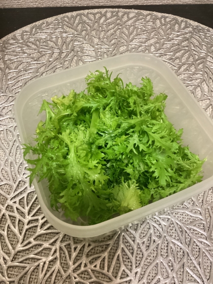 わさび菜の保存方法✨