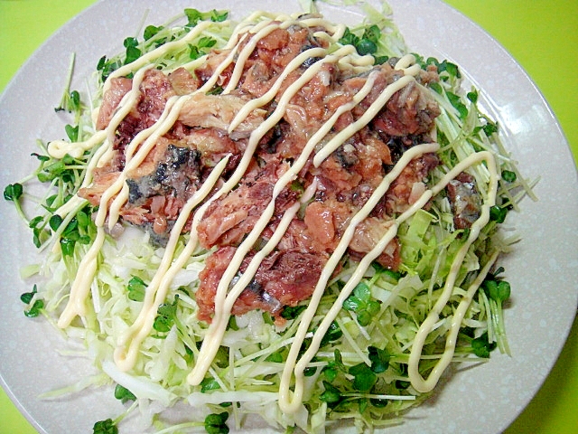 千切りキャベツとかいわれ大根サバ味付缶のサラダ