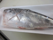 焼魚のコツ 白子がしっとり ニシンの塩焼き レシピ 作り方 By Startrek 楽天レシピ