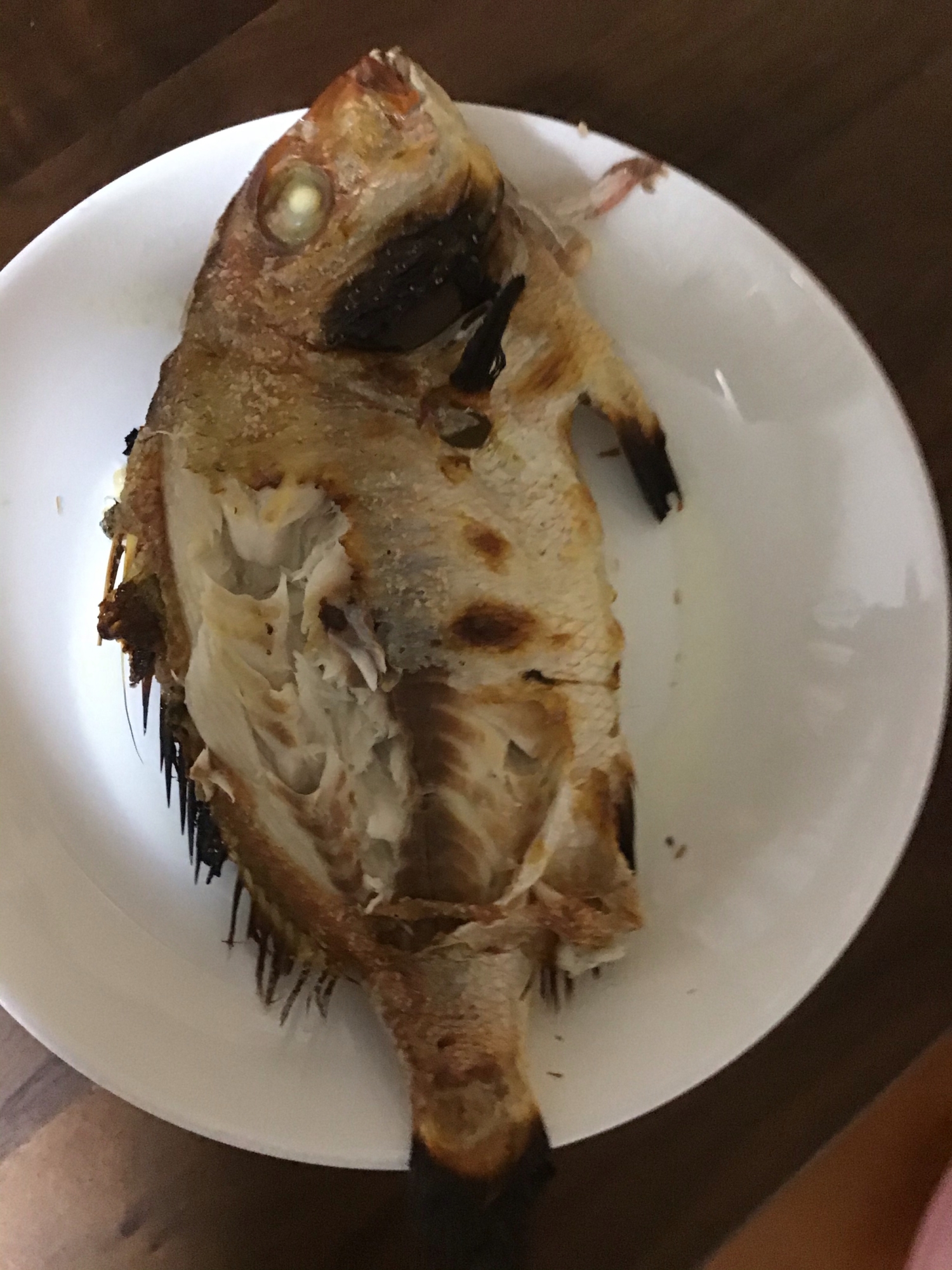 料亭の味！鯛の塩焼き！お食い初めにも。