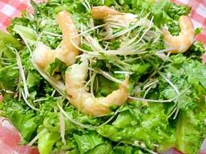野菜サラダ・・塩麹を使ってカレー風味ドレッシング