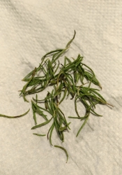 電子レンジde簡単 色鮮やか乾燥バジル レシピ 作り方 By コイクウィン 楽天レシピ 電子レンジde簡単 色鮮やか乾燥バジル レシピ 作り方 By コイクウィン 楽天レシピ