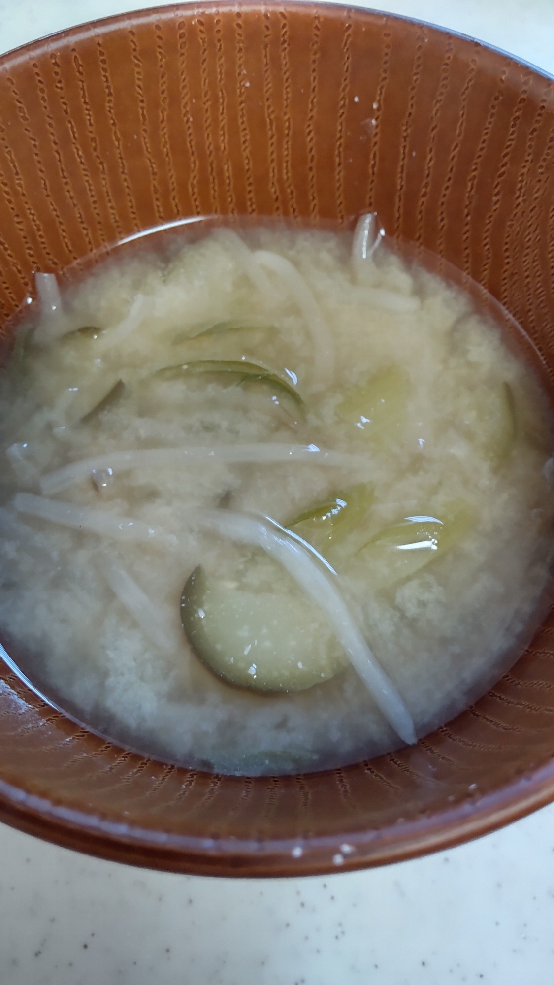 もやしとなすと葱のお味噌汁