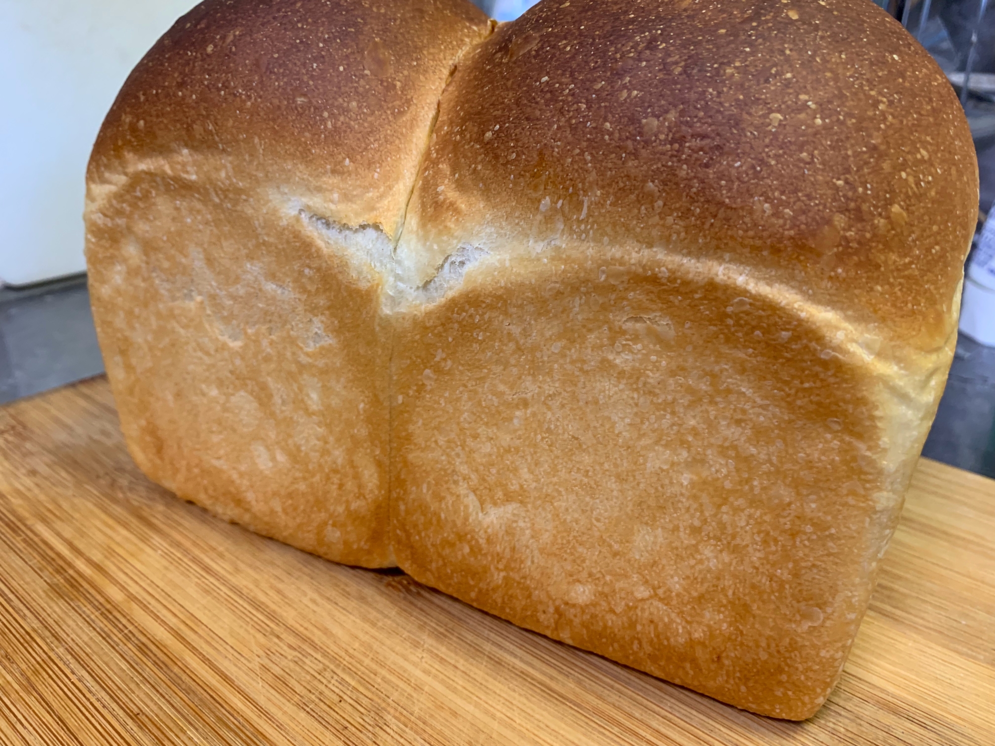 自宅で簡単‼ キタノカオリを使って山形食パン
