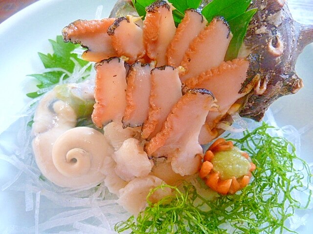 食品サンプル サザエ刺身 超美品再入荷品質至上