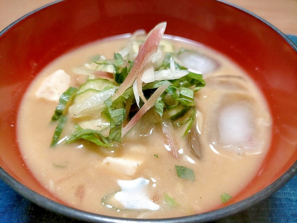 ■１０分で..宮崎県郷土料理冷や汁の素と冷や汁