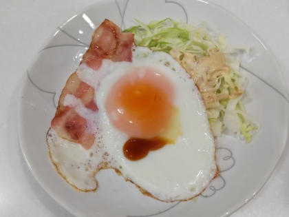 お昼ご飯に作りました！ドレッシング美味しかったです♪ありがとうございました(^-^)