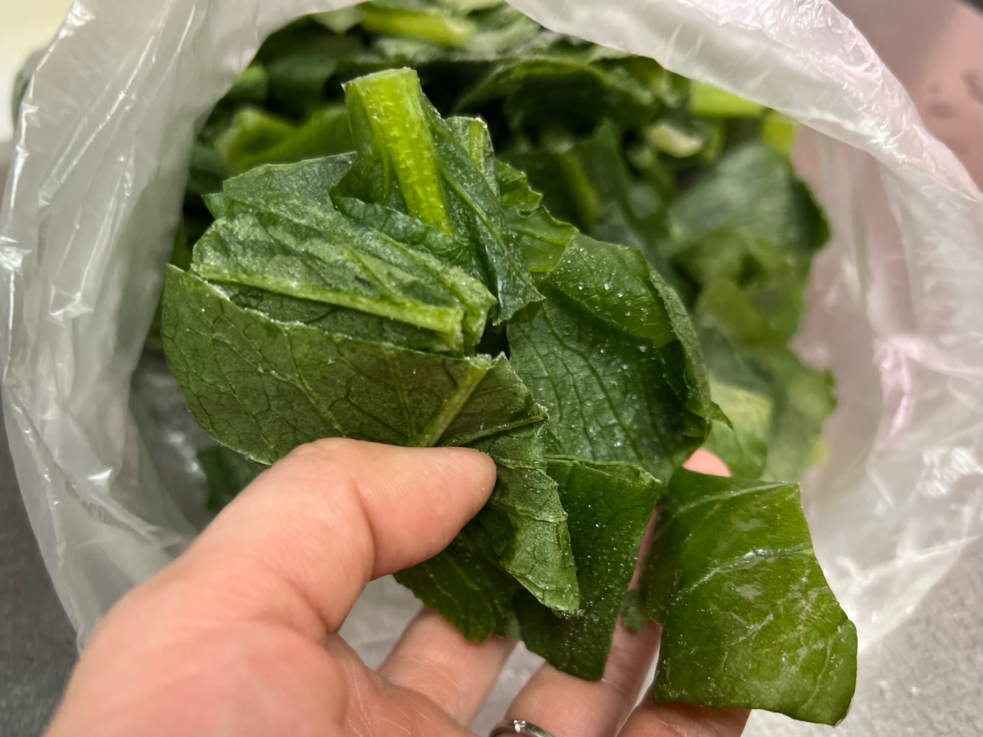 【パラパラほぐれる】小松菜の冷凍保存方法