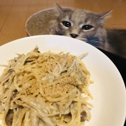 ゴボウとキノコの味噌クリームパスタ