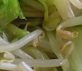 ノンオイル✿⁠レタスもやしオクラの炒めもの風