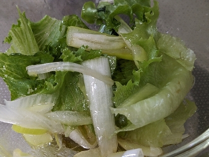 葱とリーフレタスのサラダ☆