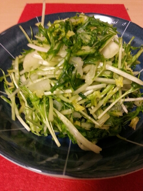 簡単白菜と水菜の塩麹漬け
